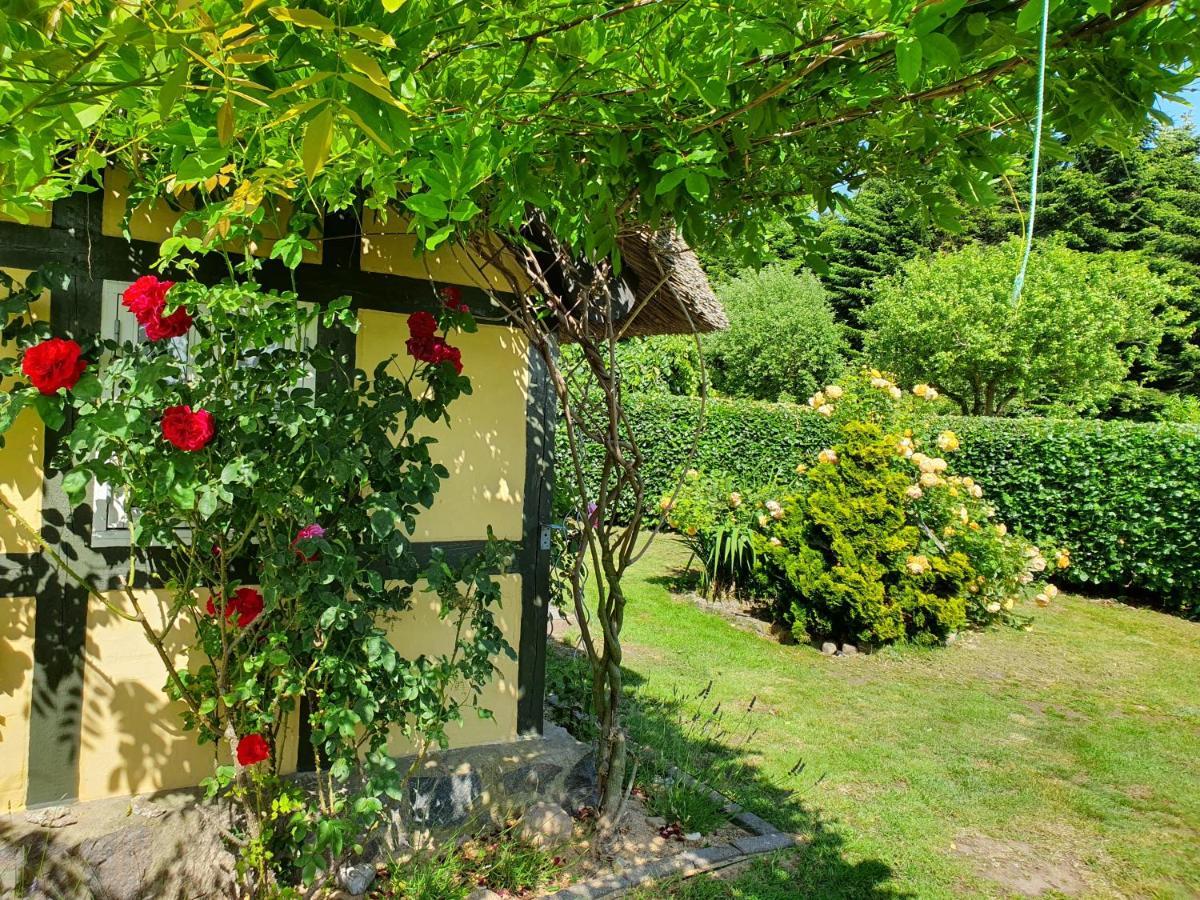 Zara'S B&B Horsens Exterior photo